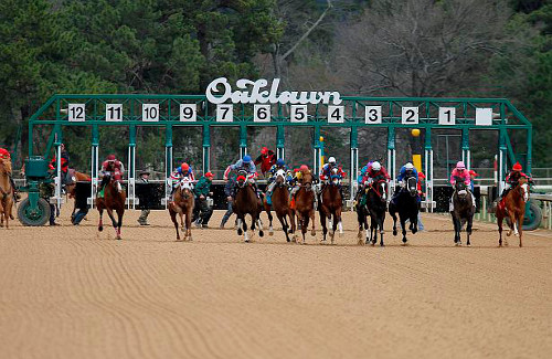 auction_images/oaklawn_large.jpg large photo